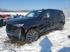 2023 Cadillac Escalade Sport Platinum продається в Louisville, KY - Burn