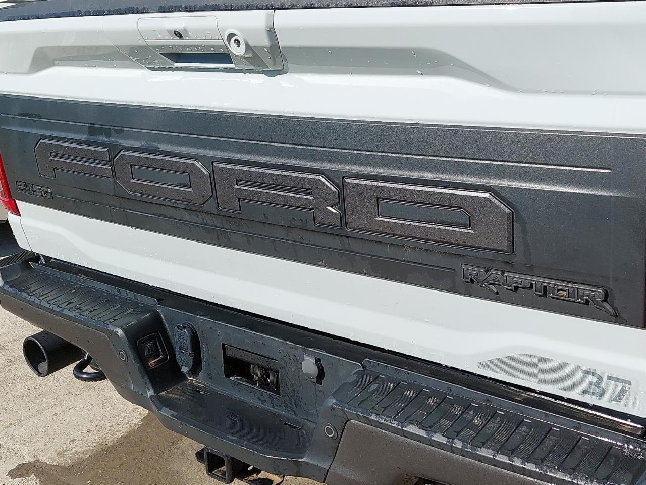 1FTFW1RG7PFB23042 - 2024 Ford F150 - #87517155