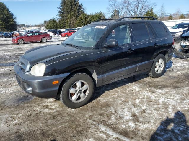 2006 Hyundai Santa Fe Gls