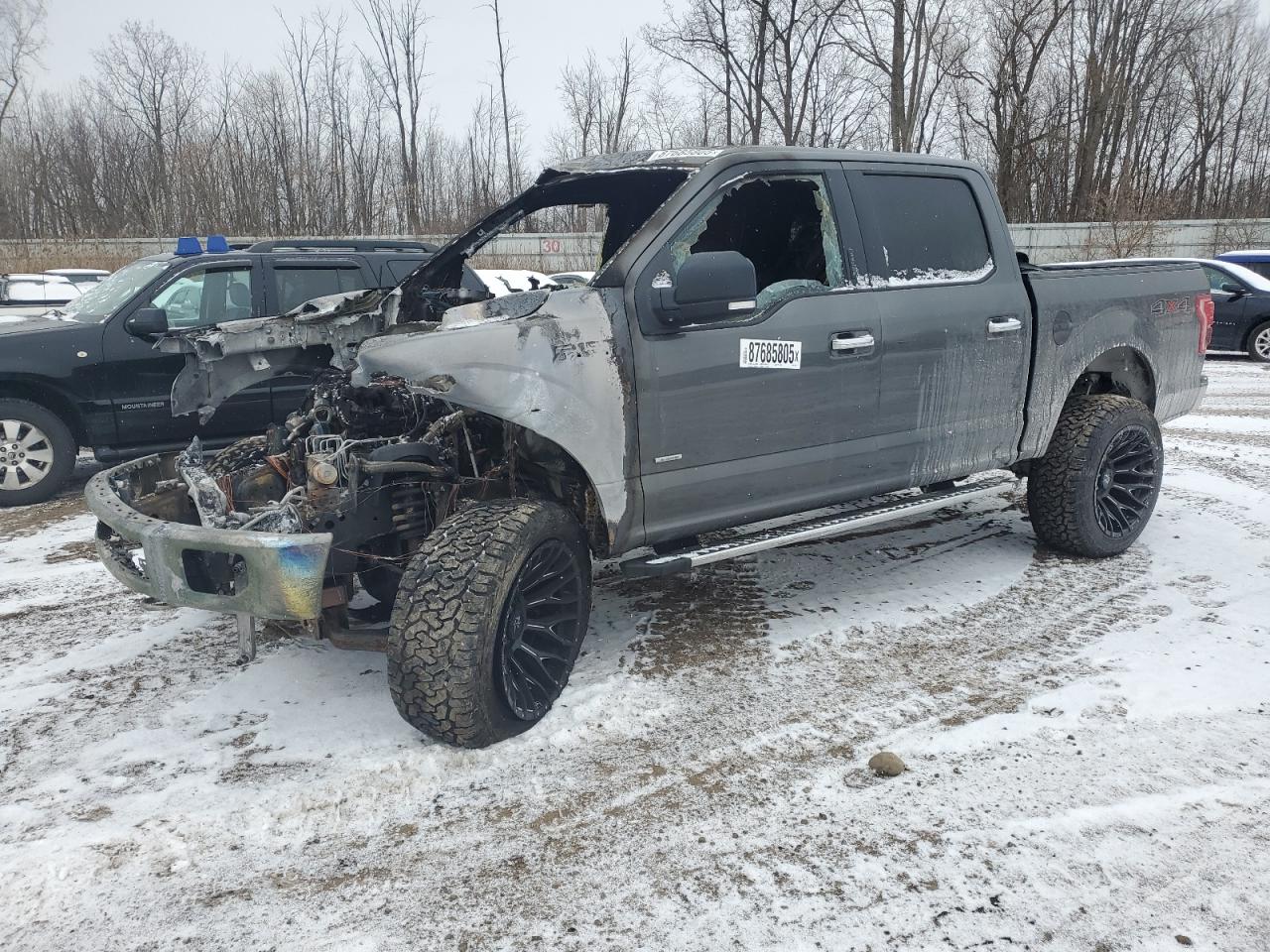 2015 Ford F-150 - Image 1