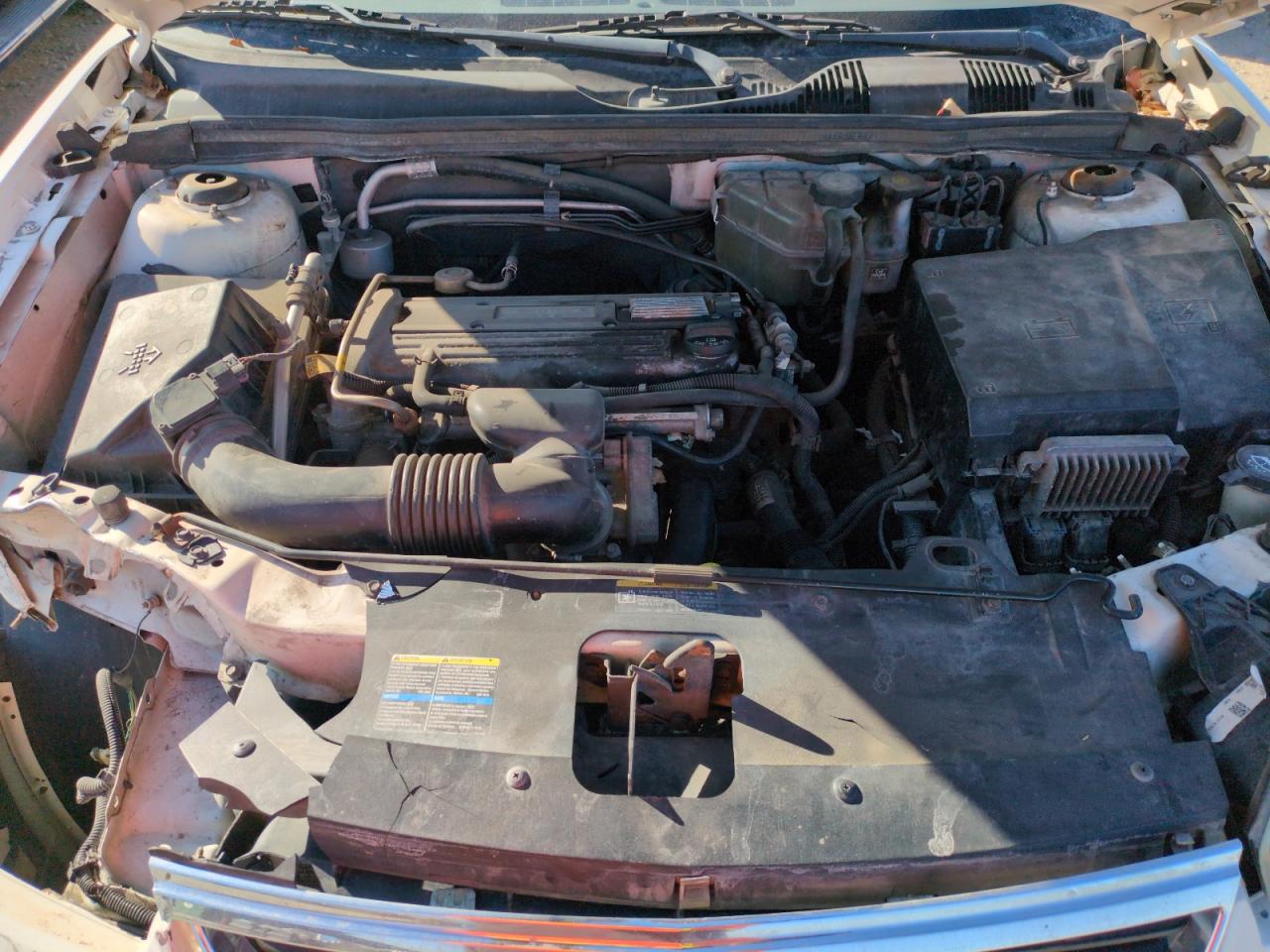 2005 Chevrolet Malibu VIN: 1G1ZS52F65F301319 Lot: 43219425