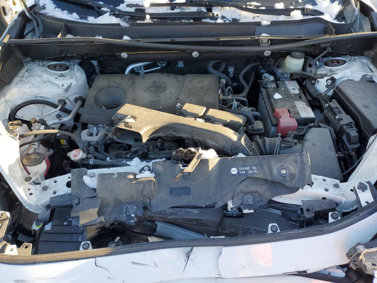 2019 Toyota RAV 4 - Image 14