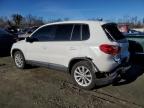 2014 Volkswagen Tiguan S na sprzedaż w Spartanburg, SC - Rear End