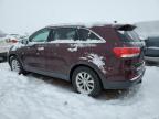 Brighton, CO에서 판매 중인 2017 Kia Sorento Lx - Rear End