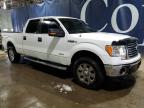 Woodhaven, MI에서 판매 중인 2011 Ford F150 Supercrew - Mechanical