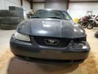 1999 Ford Mustang  na sprzedaż w Chatham, VA - All Over