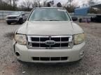 2008 Ford Escape Xlt იყიდება Augusta-ში, GA - Front End
