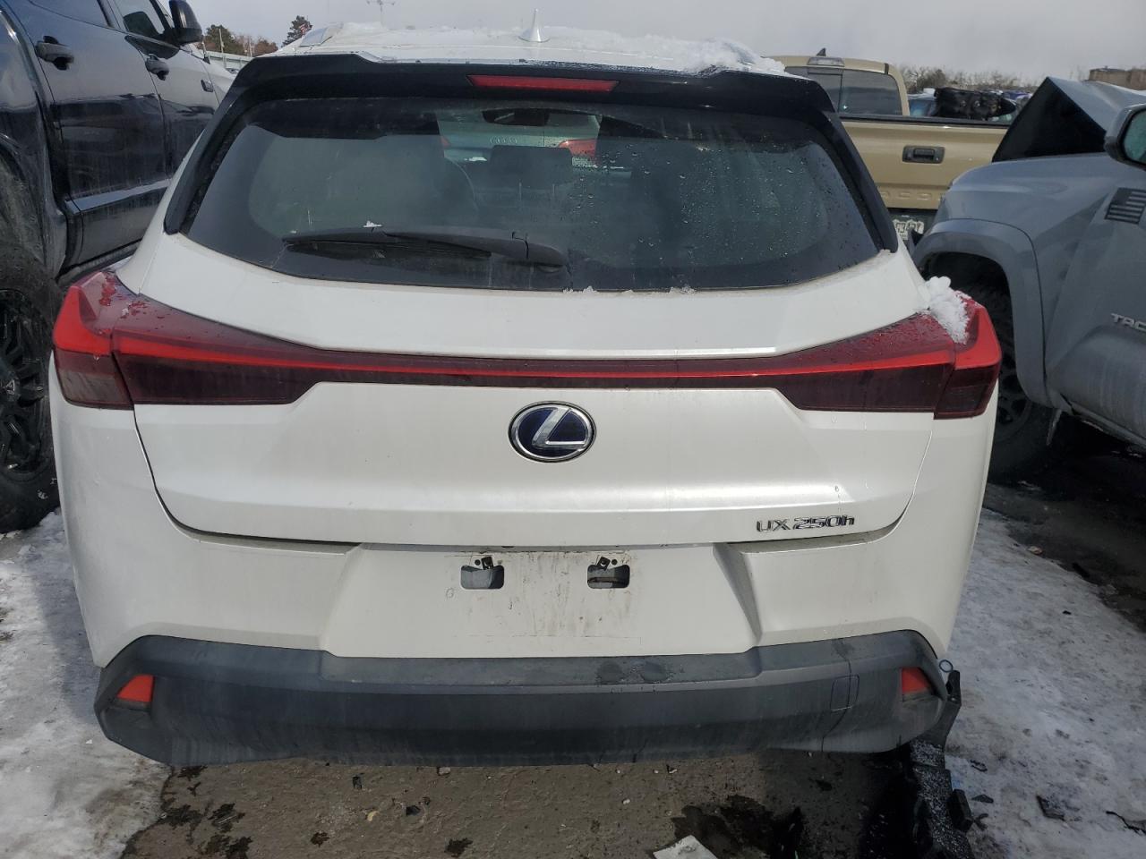 2019 Lexus UX - Image 6