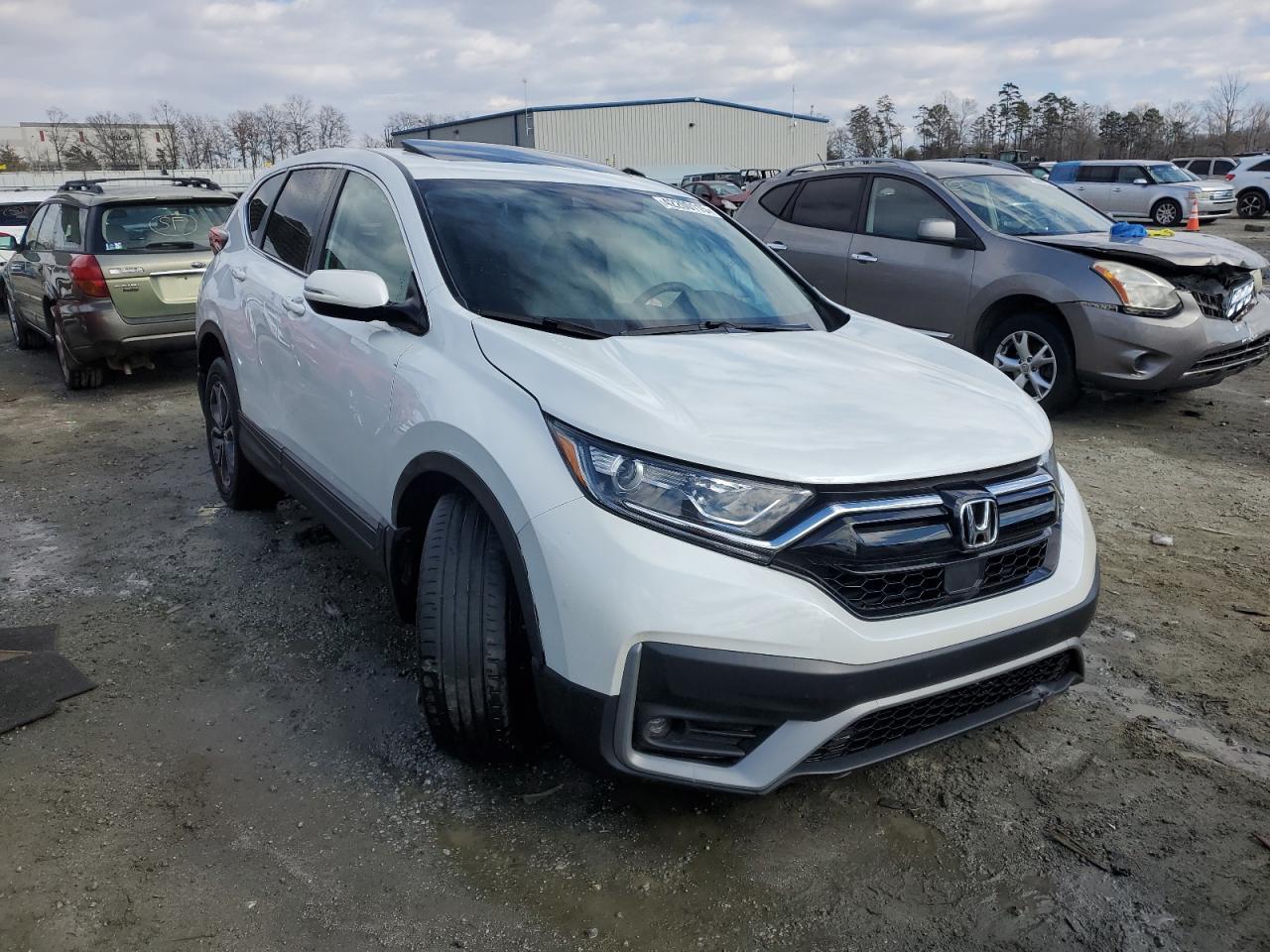 2022 Honda CR-V - Image 4