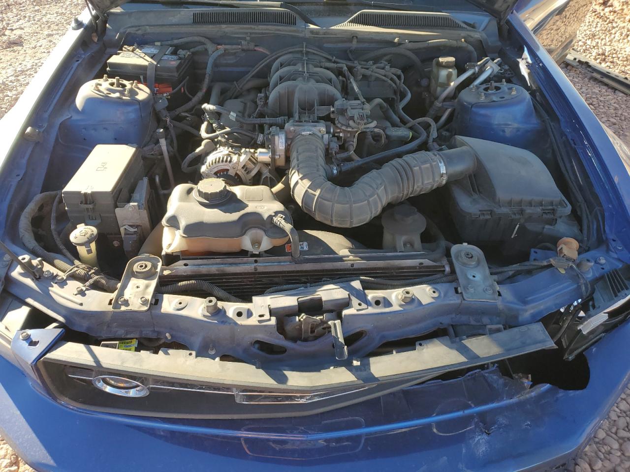 2009 Ford Mustang VIN: 1ZVHT80N495127383 Lot: 86981544