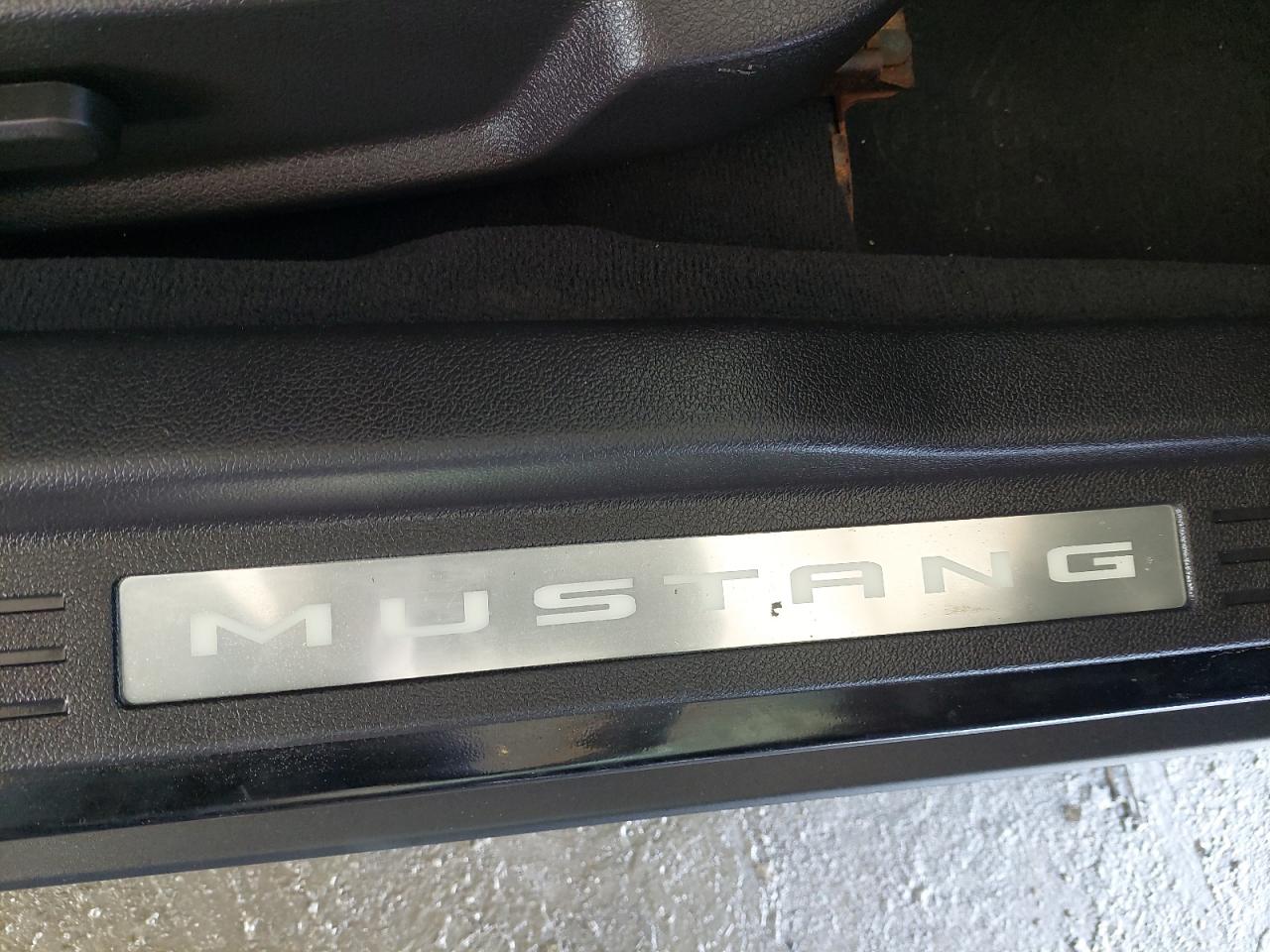 1ZVBP8CH9A5117985 - 2010 FORD MUSTANG - #43094175