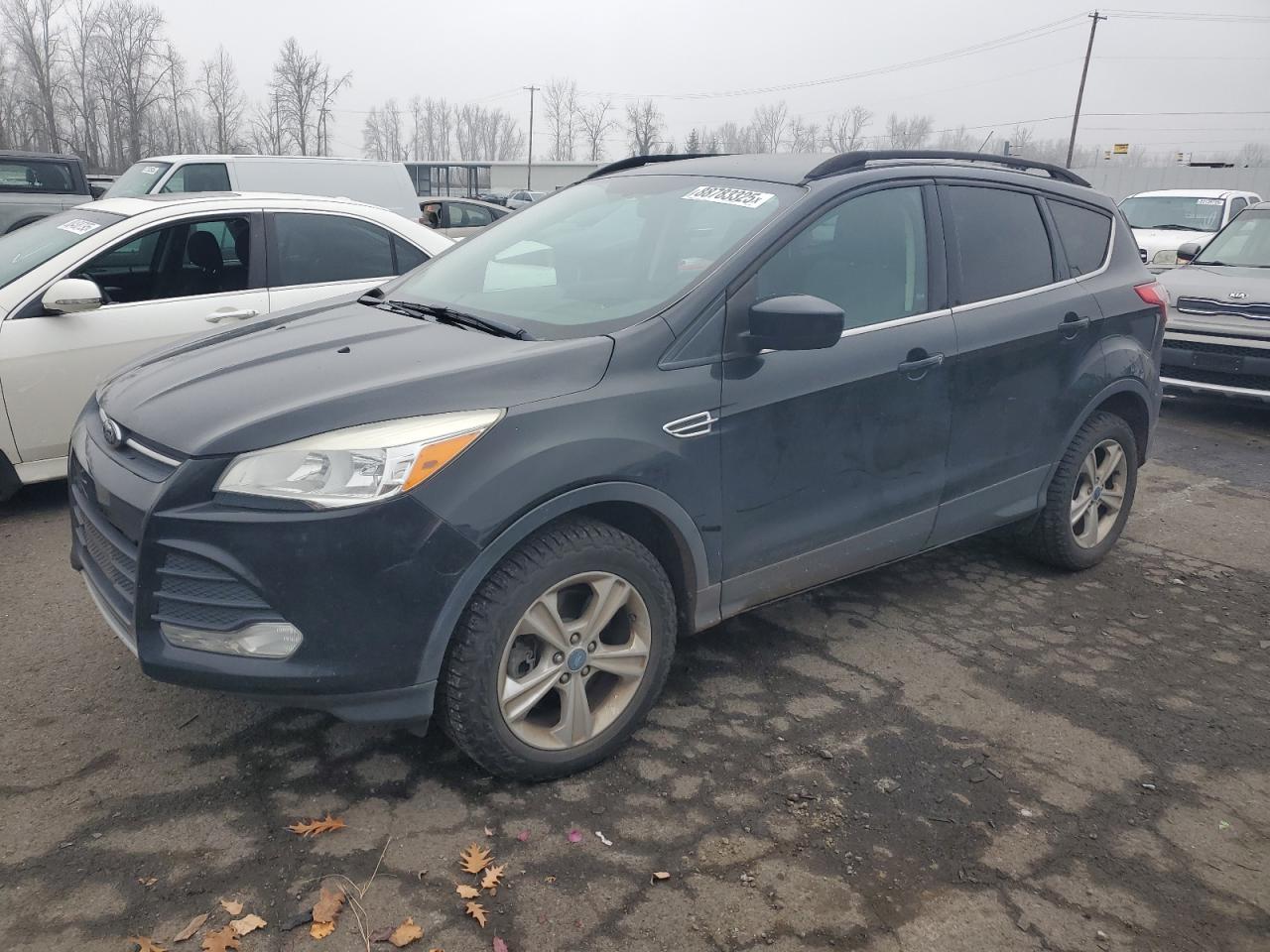 VIN 1FMCU9GX0DUC16398 2013 FORD ESCAPE no.1