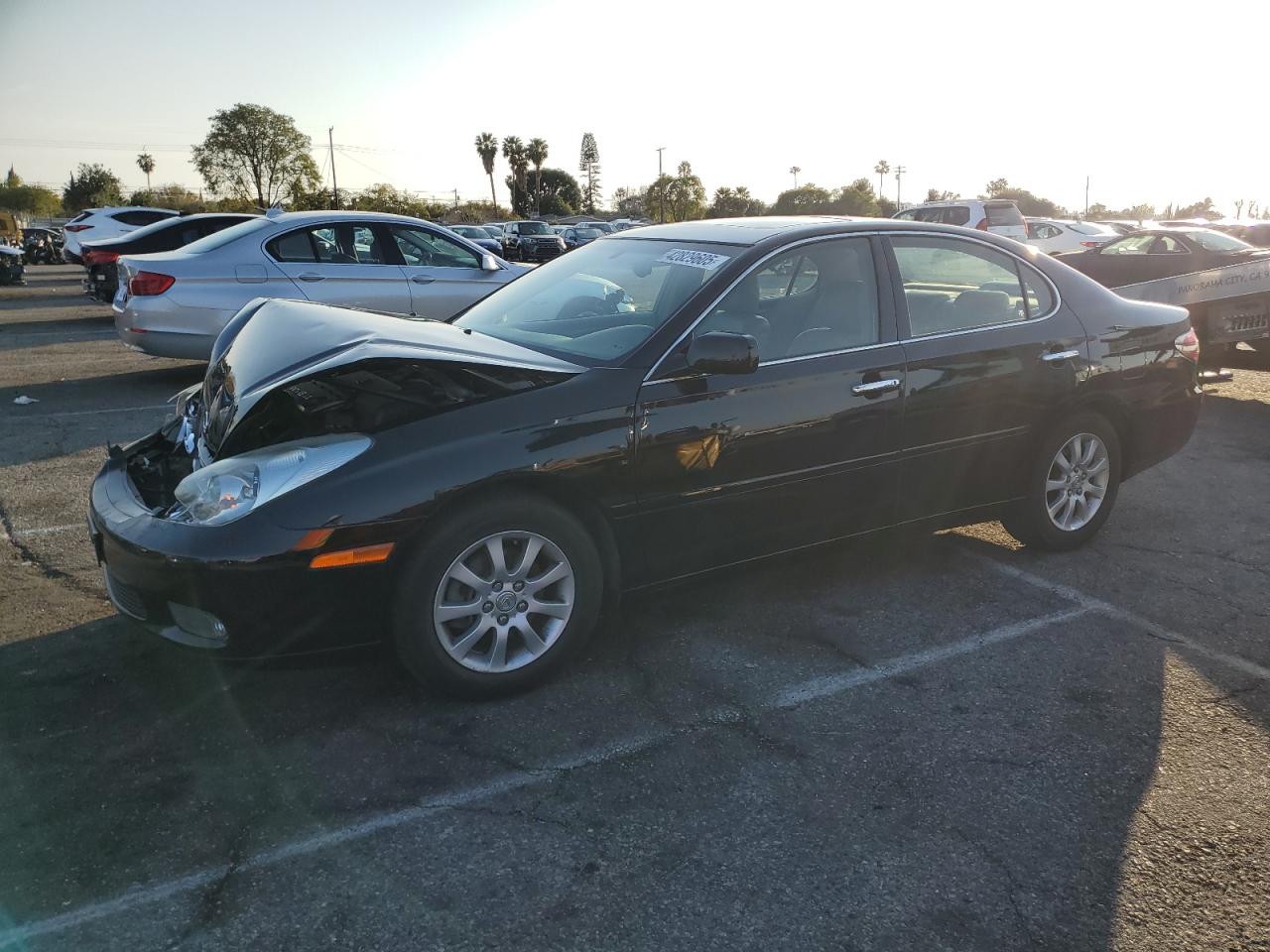 2004 Lexus ES - Image 1