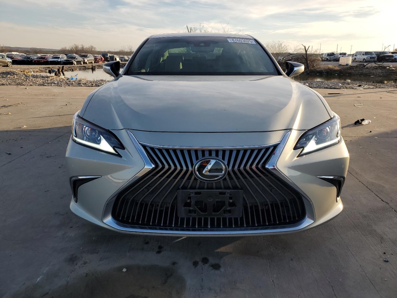 2020 Lexus ES - Image 5