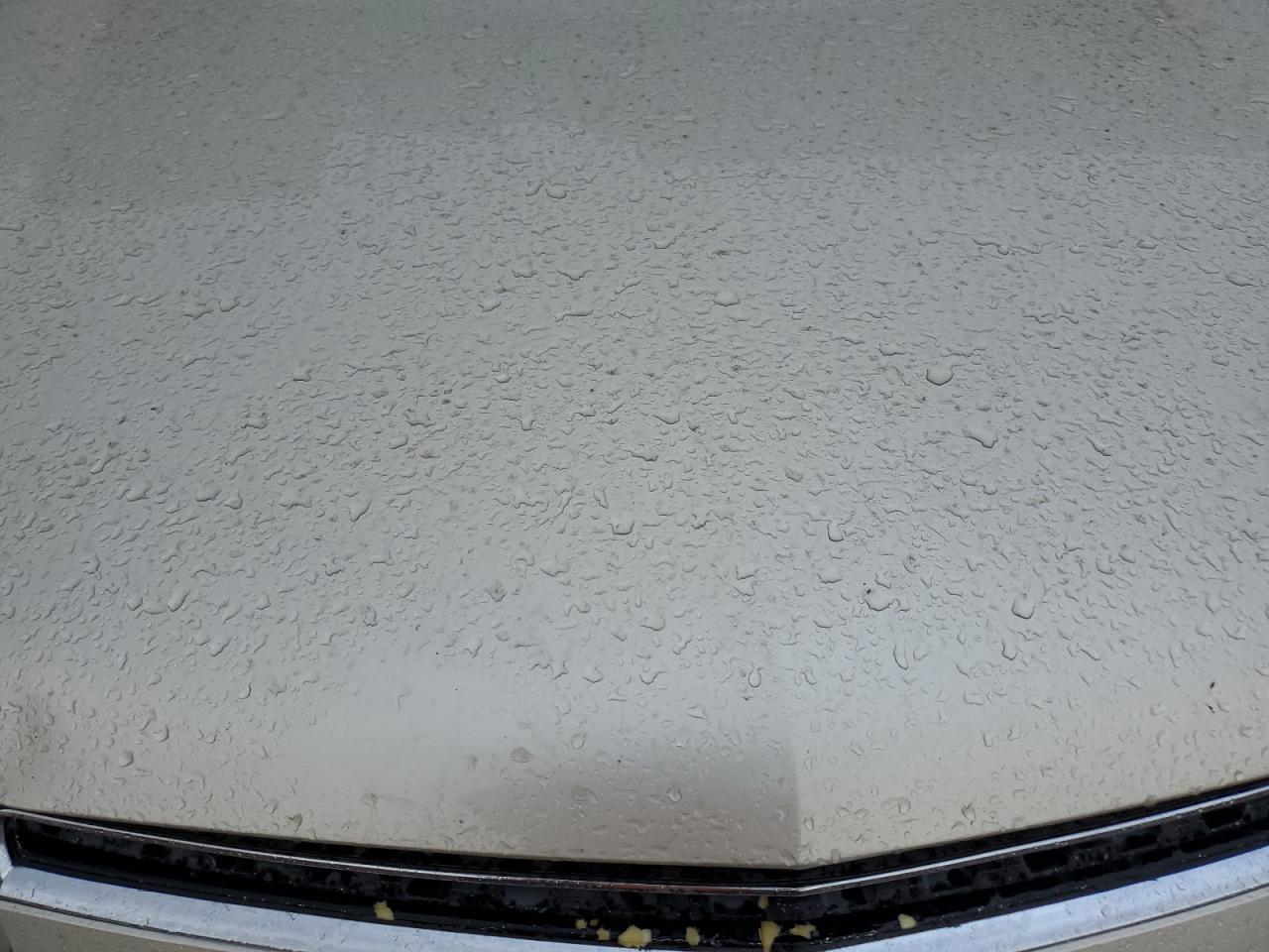 2013 Chevrolet Captiva - Image 12