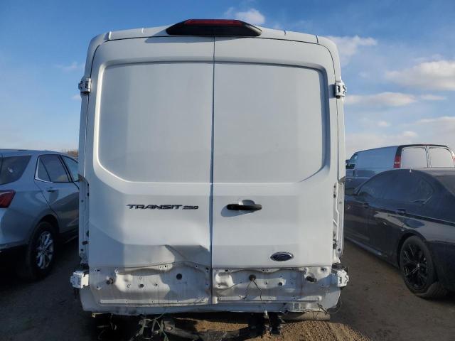  FORD TRANSIT 2023 Білий