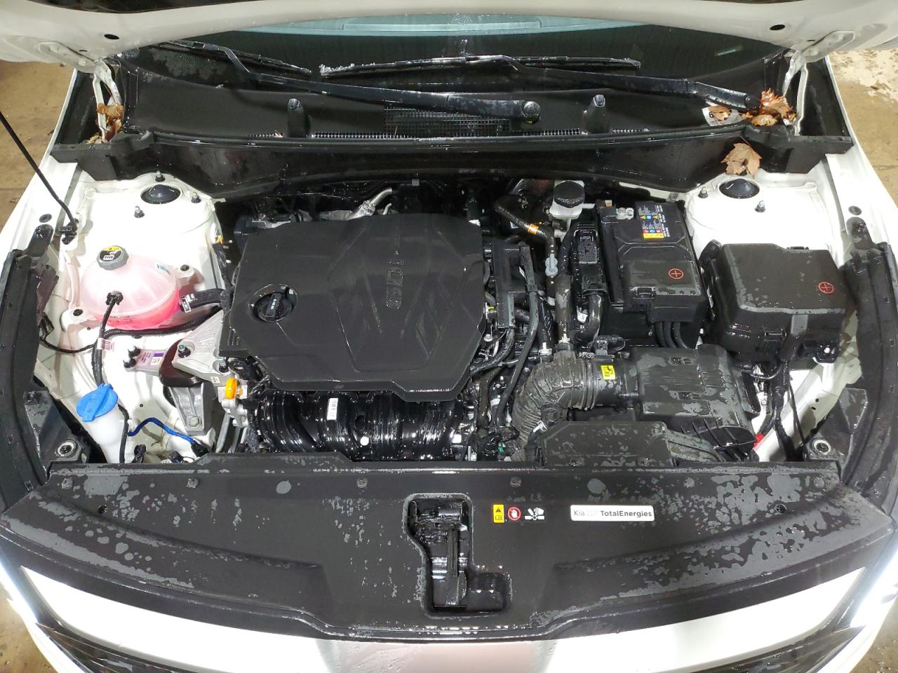 2024 Kia Sportage - Image 12