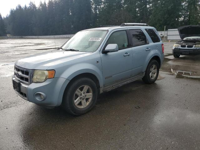 2008 Ford Escape Hev