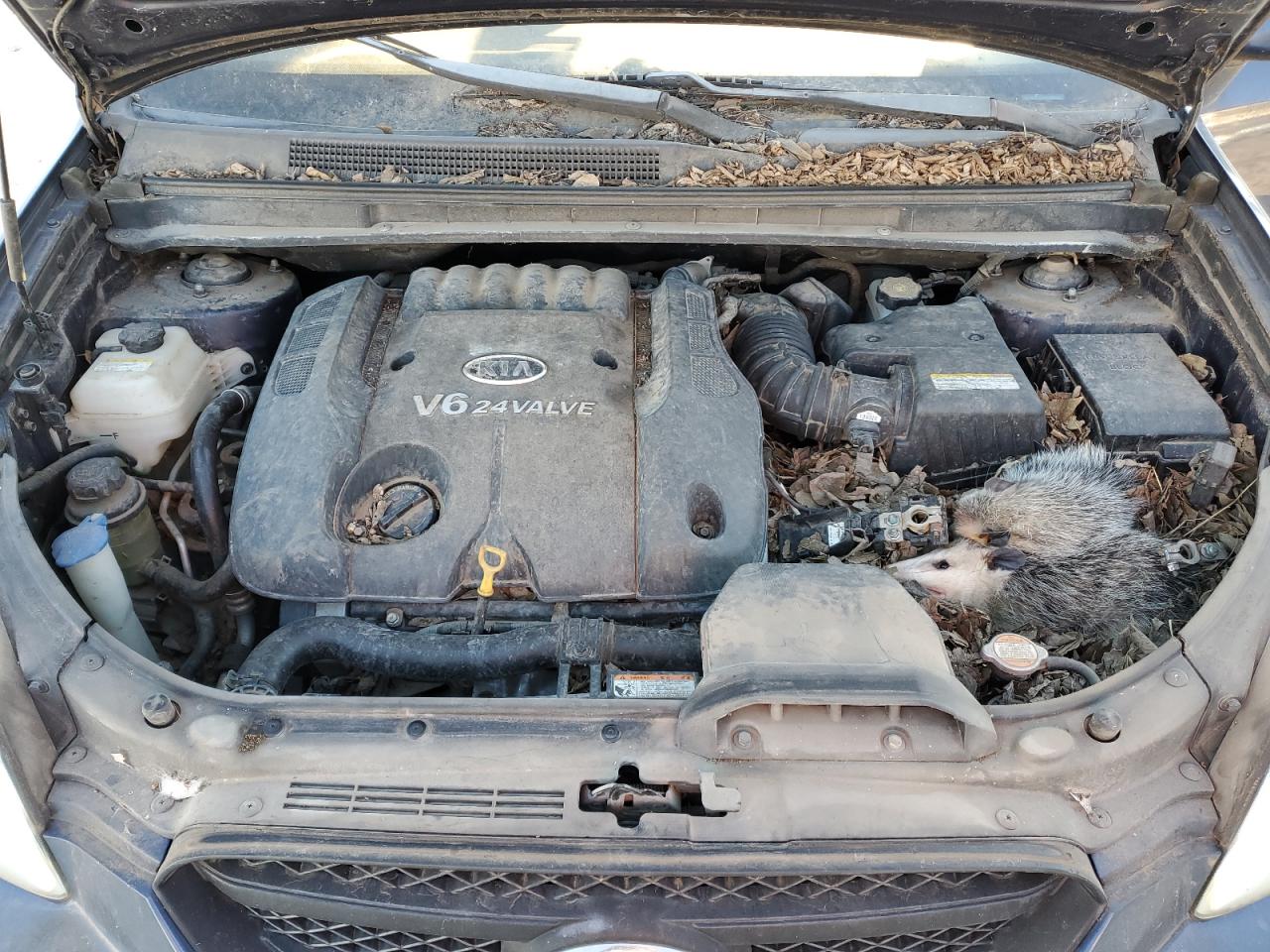 2007 Kia Rondo Lx VIN: KNAFG526377082700 Lot: 88694155