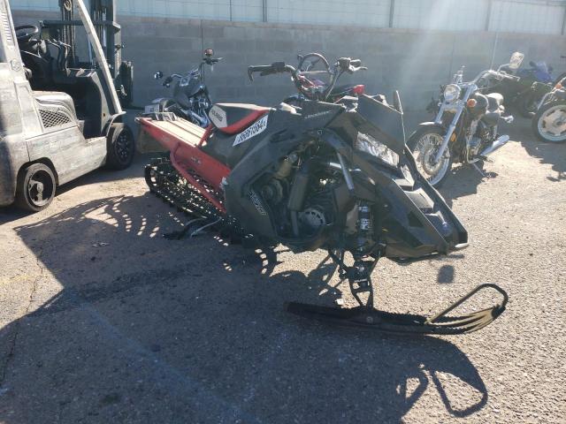 2019 'OTHER SNOW MOBILE' SNOWMOBILE for sale at Copart NM - ALBUQUERQUE