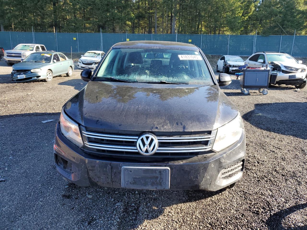 VIN WVGAV3AX2DW578442 2013 VOLKSWAGEN TIGUAN no.5