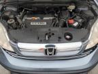 2009 Honda Cr-V Exl for Sale in Orlando, FL - Front End