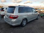 2005 HONDA ODYSSEY TOURING for sale at Copart ON - TORONTO