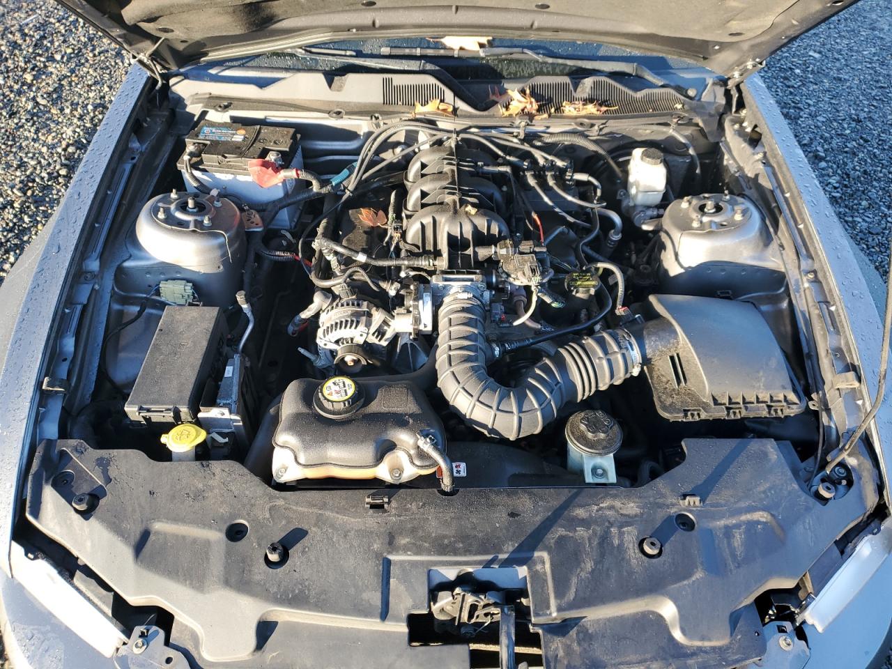 2010 Ford Mustang VIN: 1ZVBP8AN1A5130870 Lot: 88099825