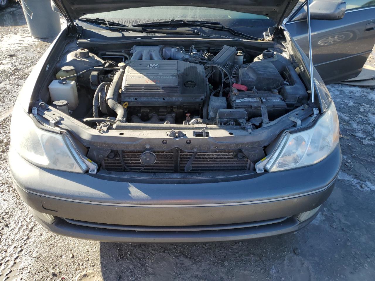 2003 Toyota Avalon Xl VIN: 4T1BF28B73U328825 Lot: 88932235