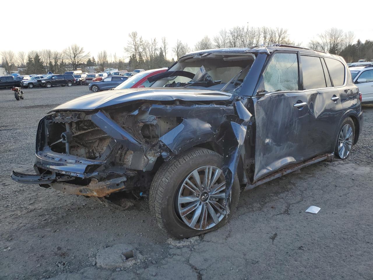 2024 Infiniti QX80 - Image 1