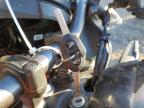 2024 Honda Cbf300 Na for Sale in Elgin, IL - All Over