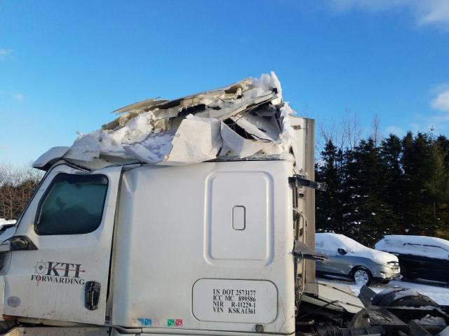 2019 FREIGHTLINER CASCADIA 126 