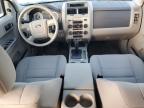 2011 Ford Escape Xlt იყიდება Rapid City-ში, SD - Hail