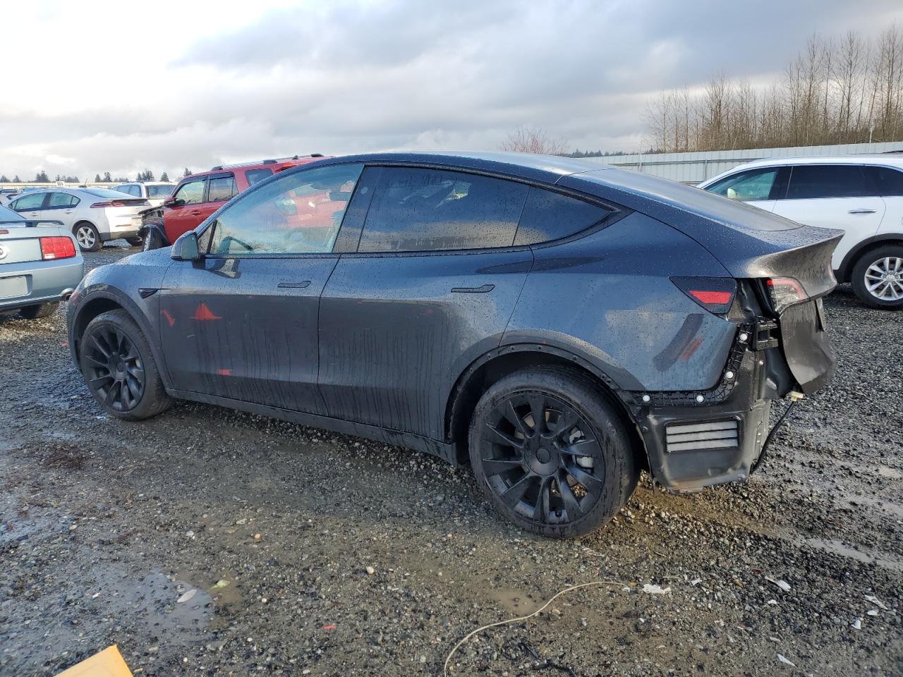 VIN 7SAYGDED9RF003935 2024 TESLA MODEL Y no.2