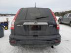 2010 HONDA CR-V EXL for sale at Copart ON - COOKSTOWN