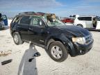 2008 Ford Escape Xlt for Sale in Arcadia, FL - All Over