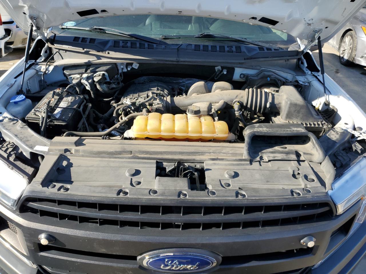 1FTMF1EBXKKD18442 FORD All Models 2019