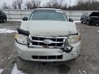 2008 Ford Escape Xlt للبيع في York Haven، PA - Front End