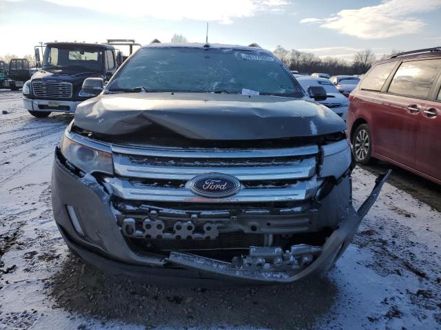 FORD EDGE 2014 Колір засмаги