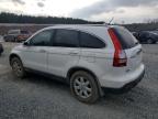 2009 Honda Cr-V Exl за продажба в Concord, NC - Front End