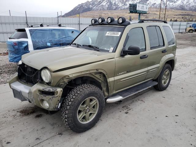 2002 Jeep Liberty Renegade