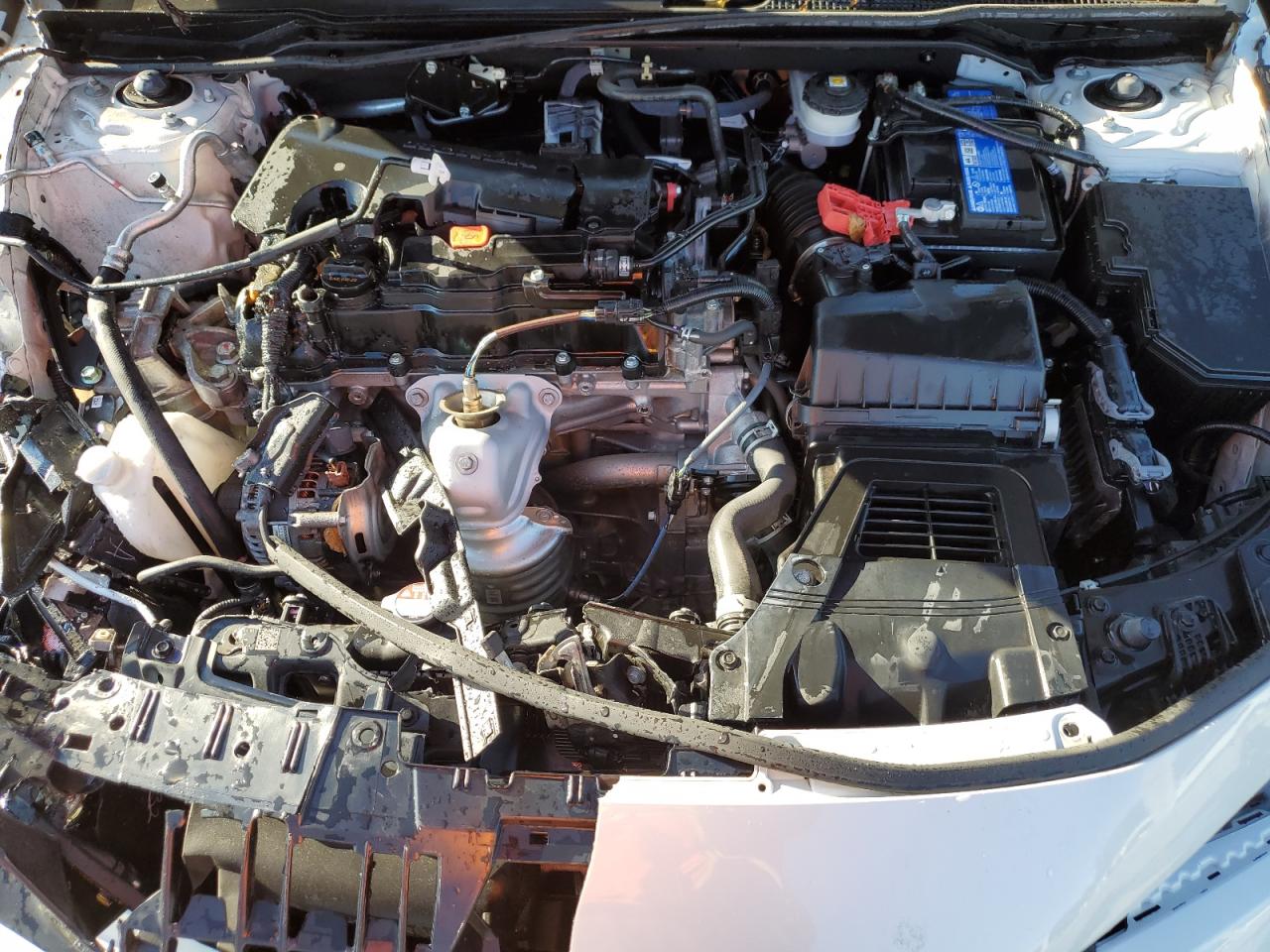 2024 Honda Civic - Image 11