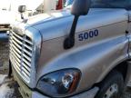 2016 Freightliner Cascadia 125  for Sale in Cicero, IN - Frame Damage