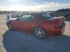 2001 Ford Mustang  продається в Arcadia, FL - Normal Wear