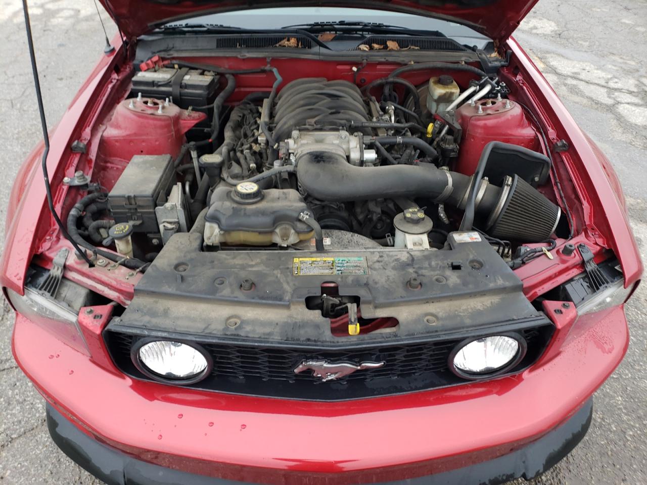 2005 Ford Mustang - Image 11