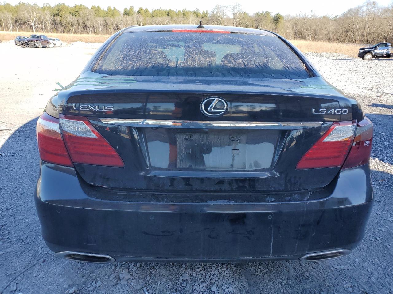 2010 Lexus LS - Image 6