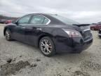 2014 Nissan Maxima S for Sale in Memphis, TN - Side