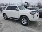 Walton, KY에서 판매 중인 2016 Toyota 4Runner Sr5/Sr5 Premium - Rear End