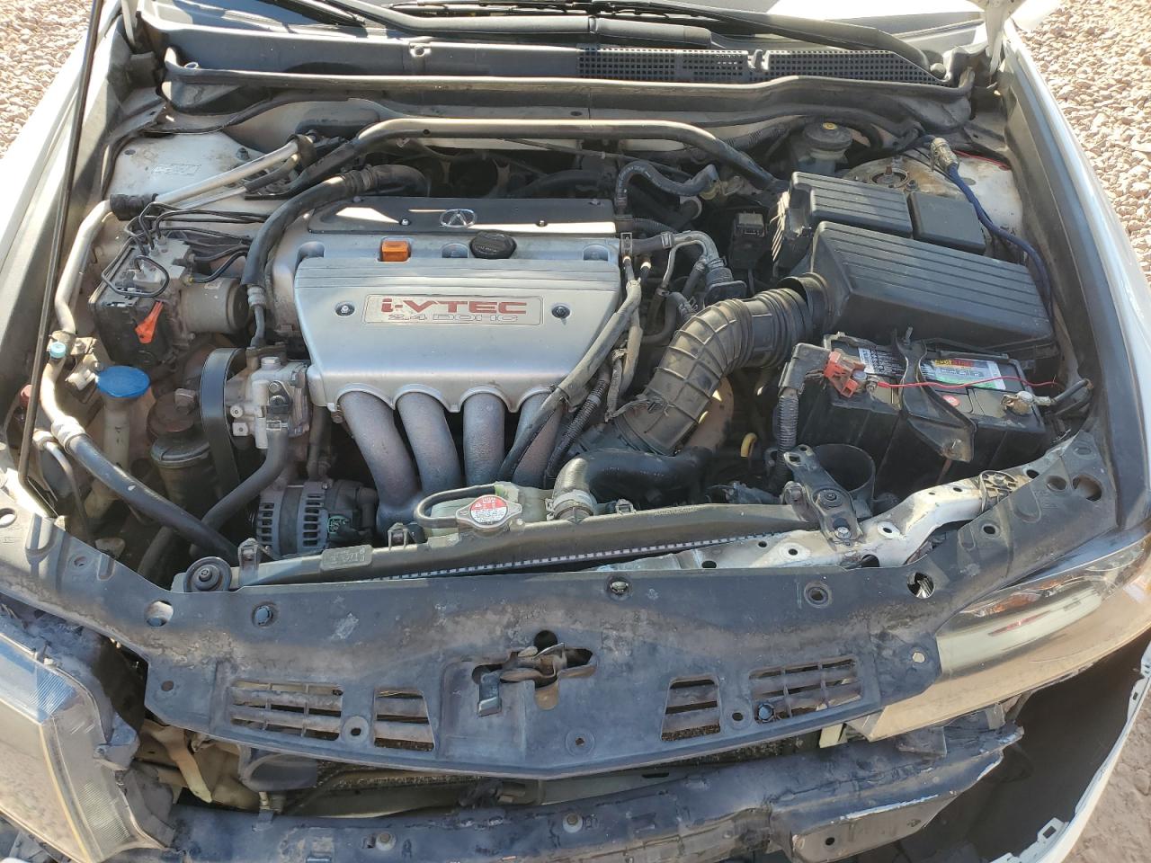 2006 Acura Tsx VIN: JH4CL96886C036191 Lot: 41459365