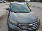 2013 Honda Cr-V Exl de vânzare în Greenwell Springs, LA - Minor Dent/Scratches